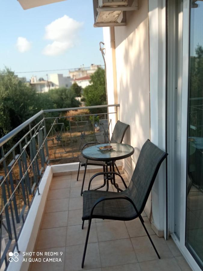 Home باترا المظهر الخارجي الصورة